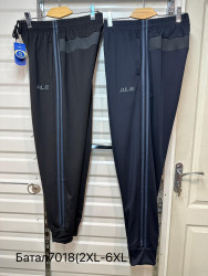 Спортивные штаны мужские БАТАЛ (темно-синий) оптом 20437619 7018-53