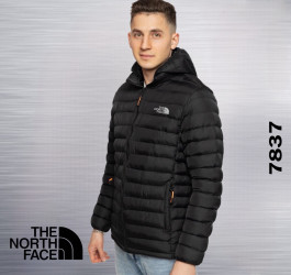 Куртки демисезонные мужские оптом 87104263 7837-43