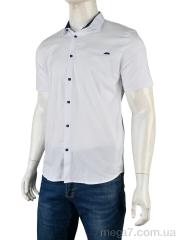 Рубашка, Мир оптом 4392-2107 white