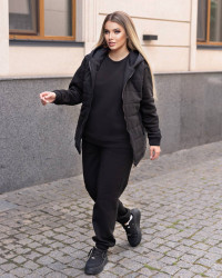 Спортивные костюмы женские на флисе (3-ка) оптом Окси 95674021 2020-110