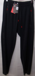 Спортивні штани чоловічі ROYAL SPORT (чорний) оптом  