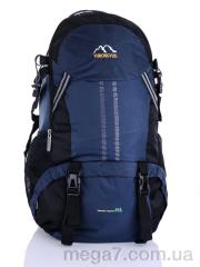 Рюкзак, Superbag оптом 8250 blue