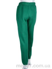 Спортивные штаны, Ledi-Sharm оптом 5003 green