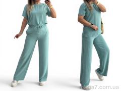 Спортивный костюм, Alisa Brand оптом 222 фісташка