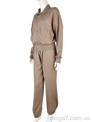 Спортивный костюм, Мир оптом 4175 l.brown