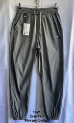 Спортивні штани чоловічі ПОЛУБАТАЛ оптом