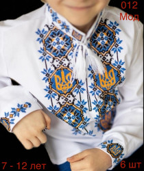 Вышиванки подростковые оптом 46293807 012-126