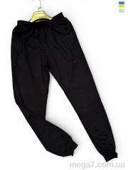 Спортивные брюки, Sport style оптом 02Ni чорний