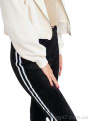 Леггинсы, Massmag оптом --- 5576 mix