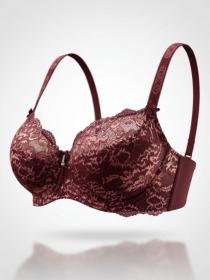 Бюстгальтер Finikin 5086D (  бордовый, D  6 шт. )