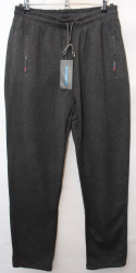 Спортивные штаны мужские БАТАЛ на флисе (gray) оптом 86592301 K2202-13