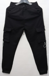 Спортивные штаны мужские на флисе (black) оптом 93068157 01-7