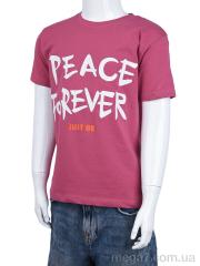 Футболка, OL оптом A005 mix