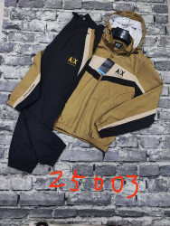 Спортивные костюмы мужские оптом 17938540 25003-4-25