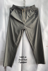 Спортивные штаны мужские ПОЛУБАТАЛ оптом 16392540 1421-4-20