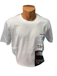 Футболки мужские оптом 30125476 28-37