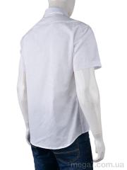 Рубашка, Obuvok оптом PO539 (12178) white