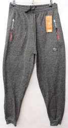 Спортивные штаны мужские на флисе (gray) оптом 36582941 B53-24