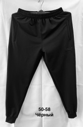 Спортивні штани чоловічі ПОЛУБАТАЛ оптом