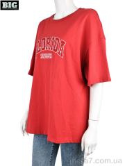 Футболка, BIG оптом --- 4064-7202 mix