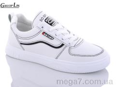 Кроссовки, Gallop Lin оптом 1009 white-black