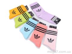 Носки, Textile оптом Textile  1066-tenis ADS