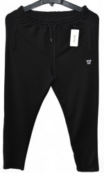 Спортивные штаны мужские БАТАЛ (черный) оптом 07839526 04-51