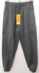 Спортивные штаны мужские на флисе (gray) оптом 38204197 A24-29