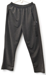 Спортивные штаны мужские (серый) оптом 82750916 06-63
