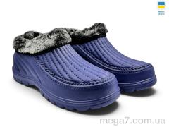 Галоши, Rai shoes оптом Б26 волошка