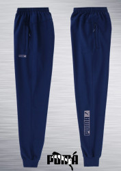 Спортивные штаны мужские на флисе (синий) оптом 27135904 01-7