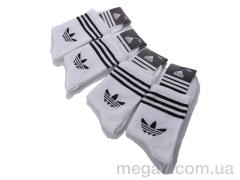 Носки, Textile оптом Textile  1051Ad білі