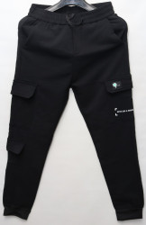 Спортивные штаны мужские на флисе (black) оптом 90587312 01-10