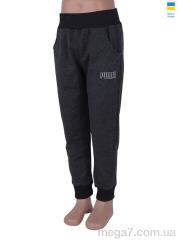 Спортивные брюки, Obuvok оптом 006 (06881-9) d.grey (122)