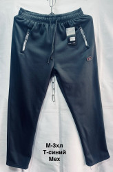 Спортивные штаны мужские на меху оптом 65398470 7172-54
