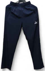 Спортивные штаны мужские (темно-синий) оптом 29084375 А13-2