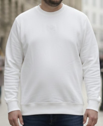 Свитшоты мужские БАТАЛ оптом 36402958 0004-31