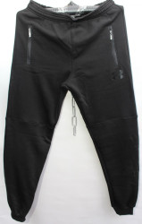 Спортивные штаны мужские на флисе (черный) оптом 38021475 08-70