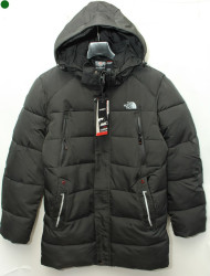 Куртки зимние мужские DABERT (хаки) оптом 32809746 D-31-25