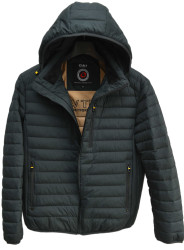 Куртки демисезонные мужские оптом 17405286 1680-DG-147