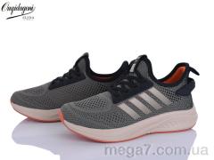 Кроссовки, Dageni оптом B2526-24