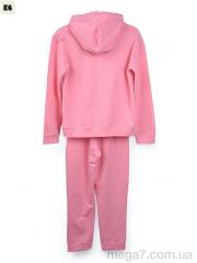 Спортивный костюм, BIG оптом 3750-805-3 pink