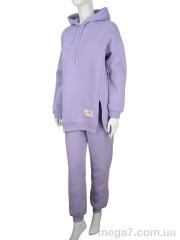 Спортивный костюм, Мир оптом 3389-2371-2 violet