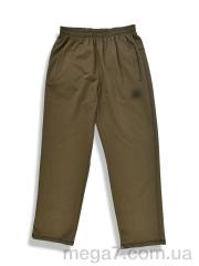 Спортивные брюки, Денис спорт оптом 009-3 green