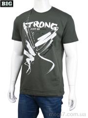 Футболка, BIG оптом 3707-122-1 green