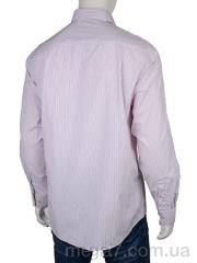 Рубашка, Enrico оптом Enrico  SKY7126 l.pink