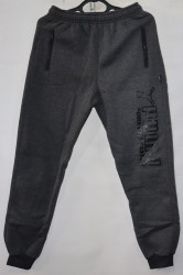 Спортивные штаны мужские на флисе (gray) оптом 59784203 05-44