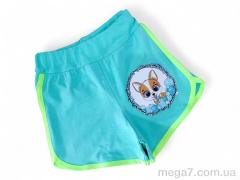 Шорты, Kids-modnik оптом 1733 бірюзовий