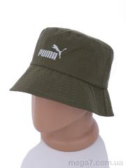 Панама, Королева оптом CAP 23-04 green