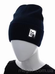 Шапка, Королева оптом 2-22 mix old